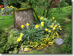 Erich Kleibers Grab in Zürich